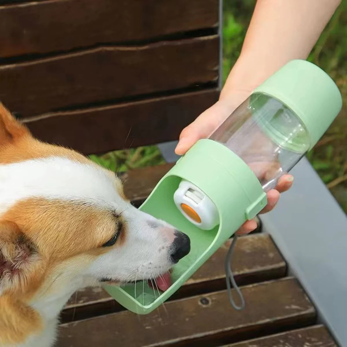Pet Travel Water Bottle