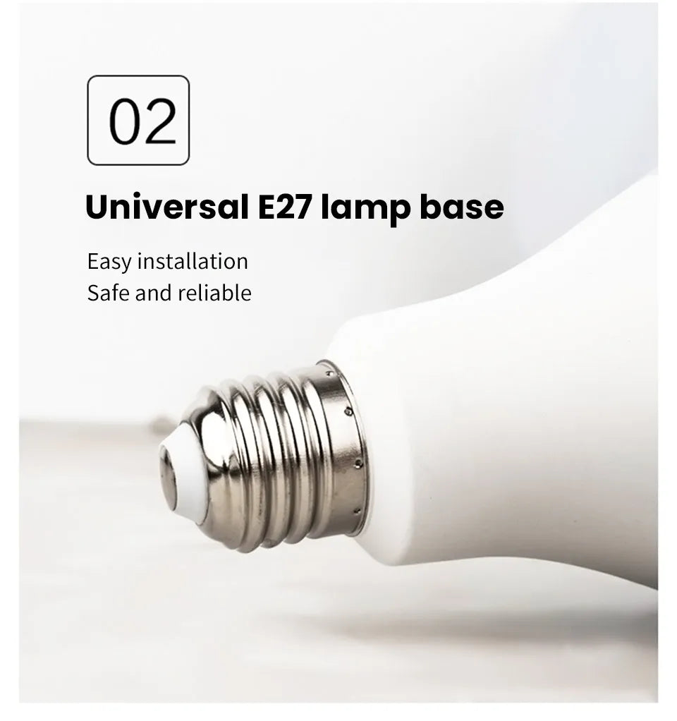 2 Piece LED Bulb Light
