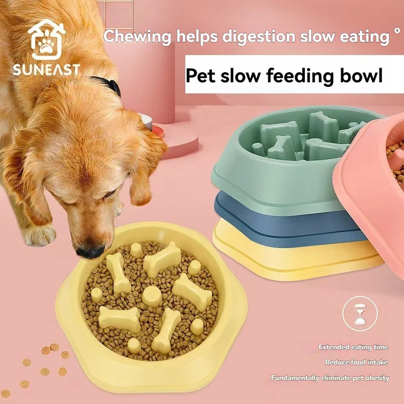 Slow Feeder Dog Bowl