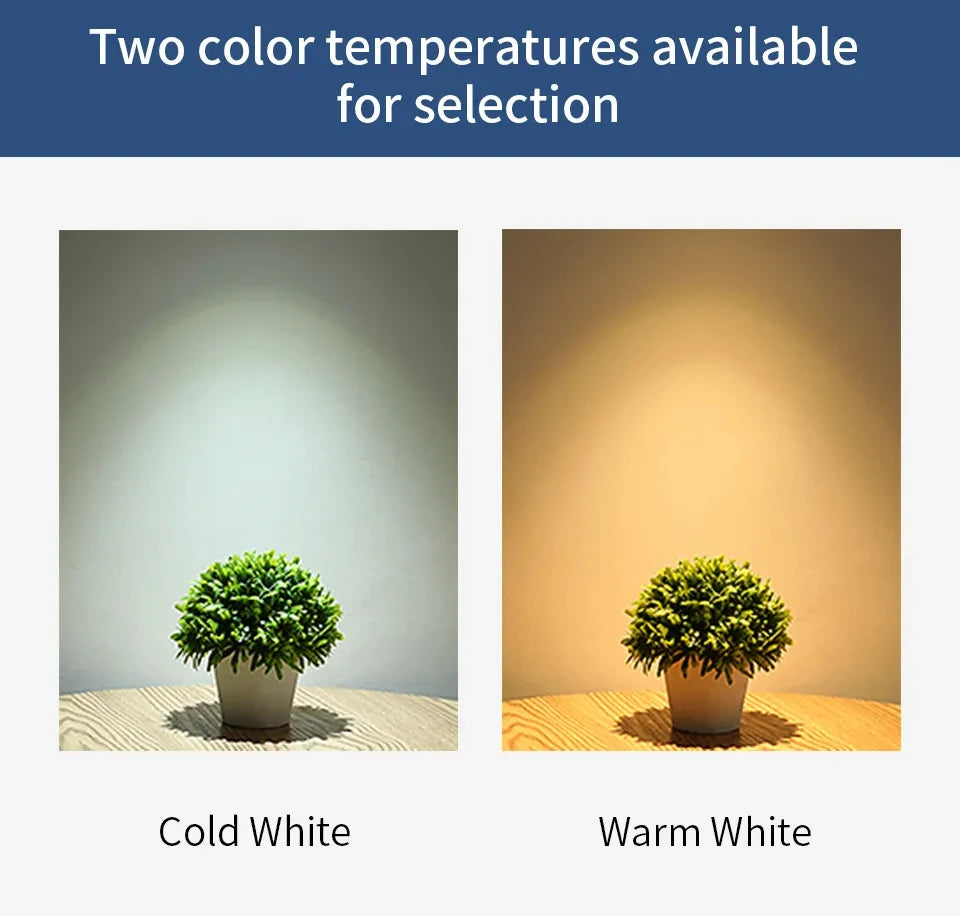 2 Piece LED Bulb Light