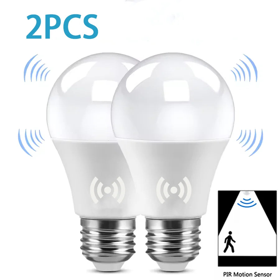 2 Piece LED Bulb Light